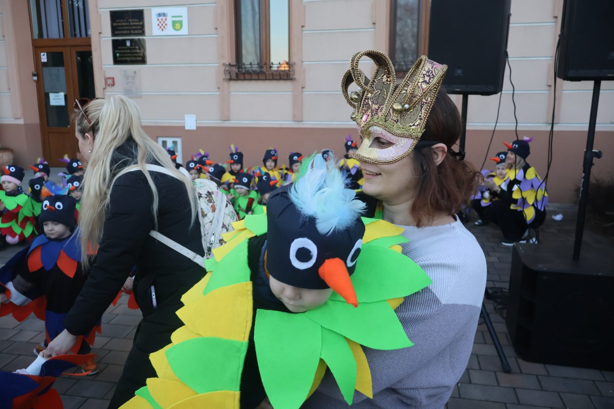 mali serjojnski fašnik (141) mali serjojnski fašnik (141)