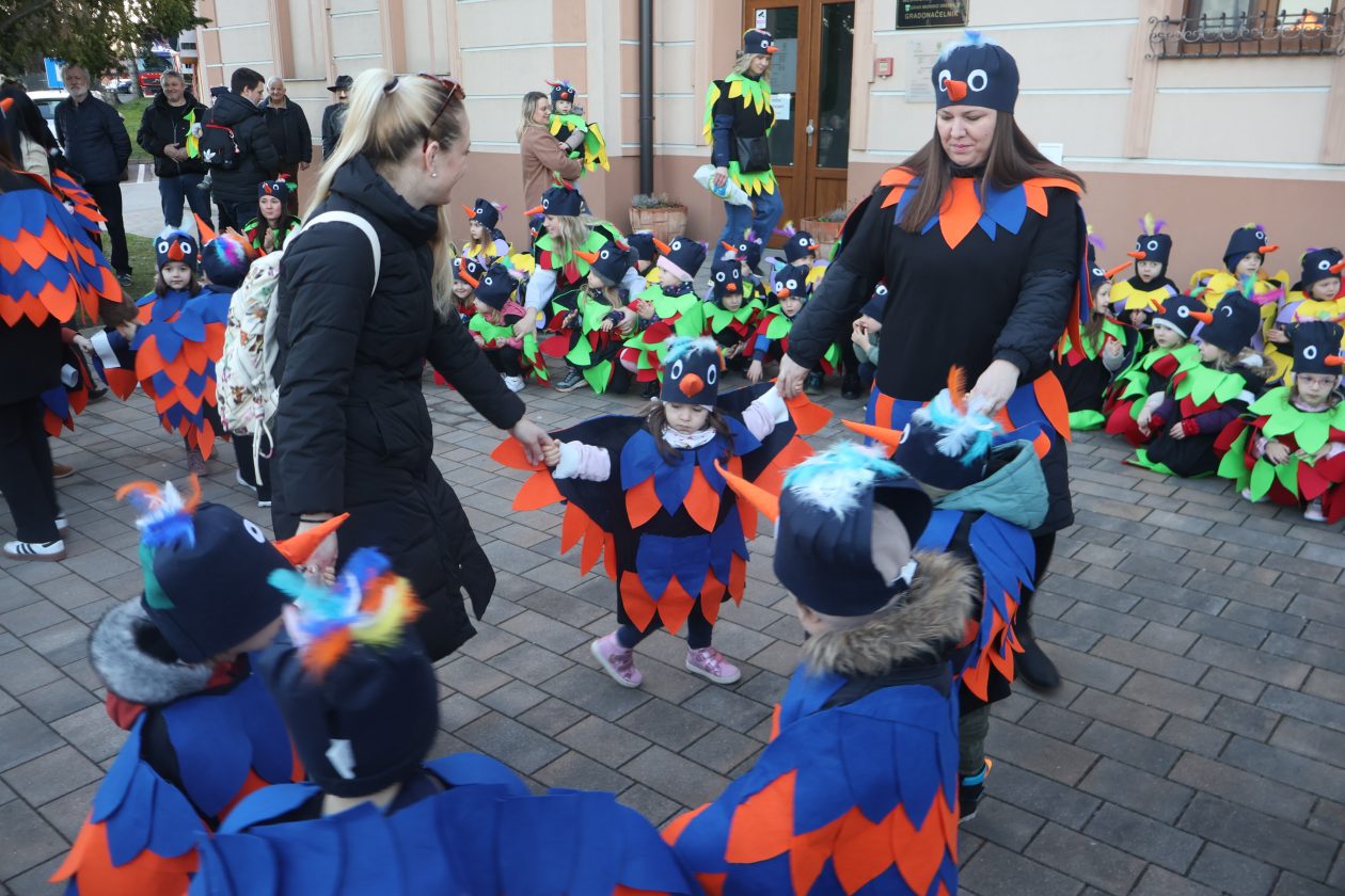 mali serjojnski fašnik (142) mali serjojnski fašnik (142)