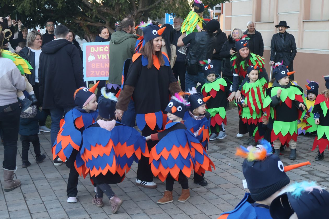 mali serjojnski fašnik (143) mali serjojnski fašnik (143)