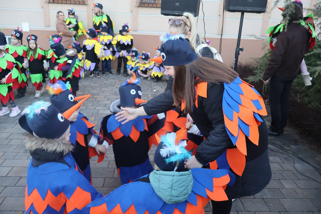 mali serjojnski fašnik (144) mali serjojnski fašnik (144)