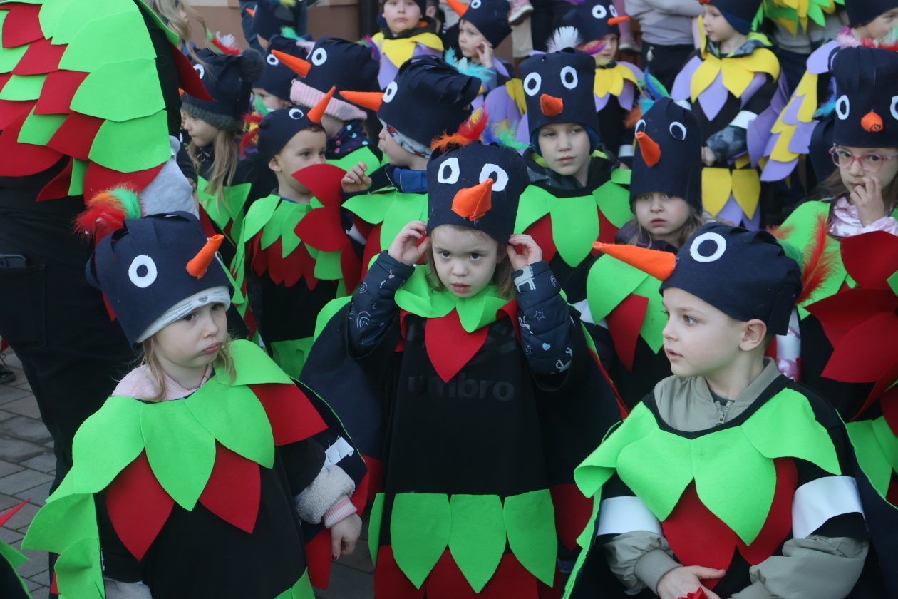 mali serjojnski fašnik (150) mali serjojnski fašnik (150)