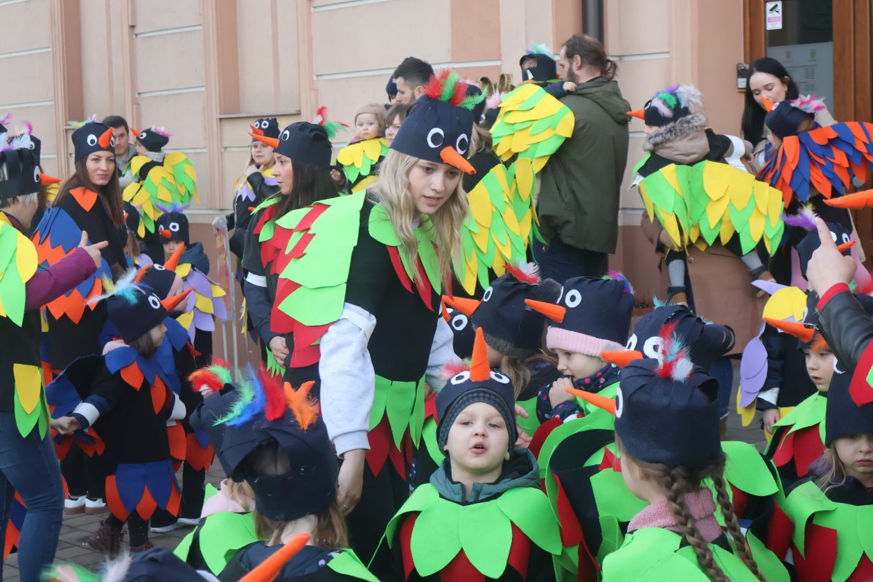 mali serjojnski fašnik (151) mali serjojnski fašnik (151)