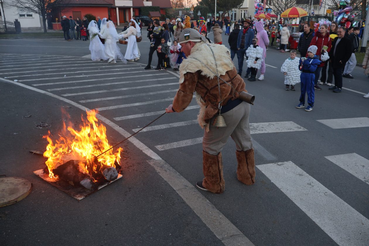 mali serjojnski fašnik (161) mali serjojnski fašnik (161)
