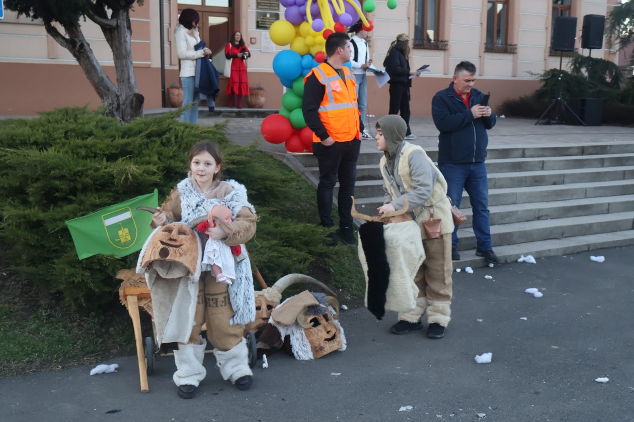 mali serjojnski fašnik (165) mali serjojnski fašnik (165)
