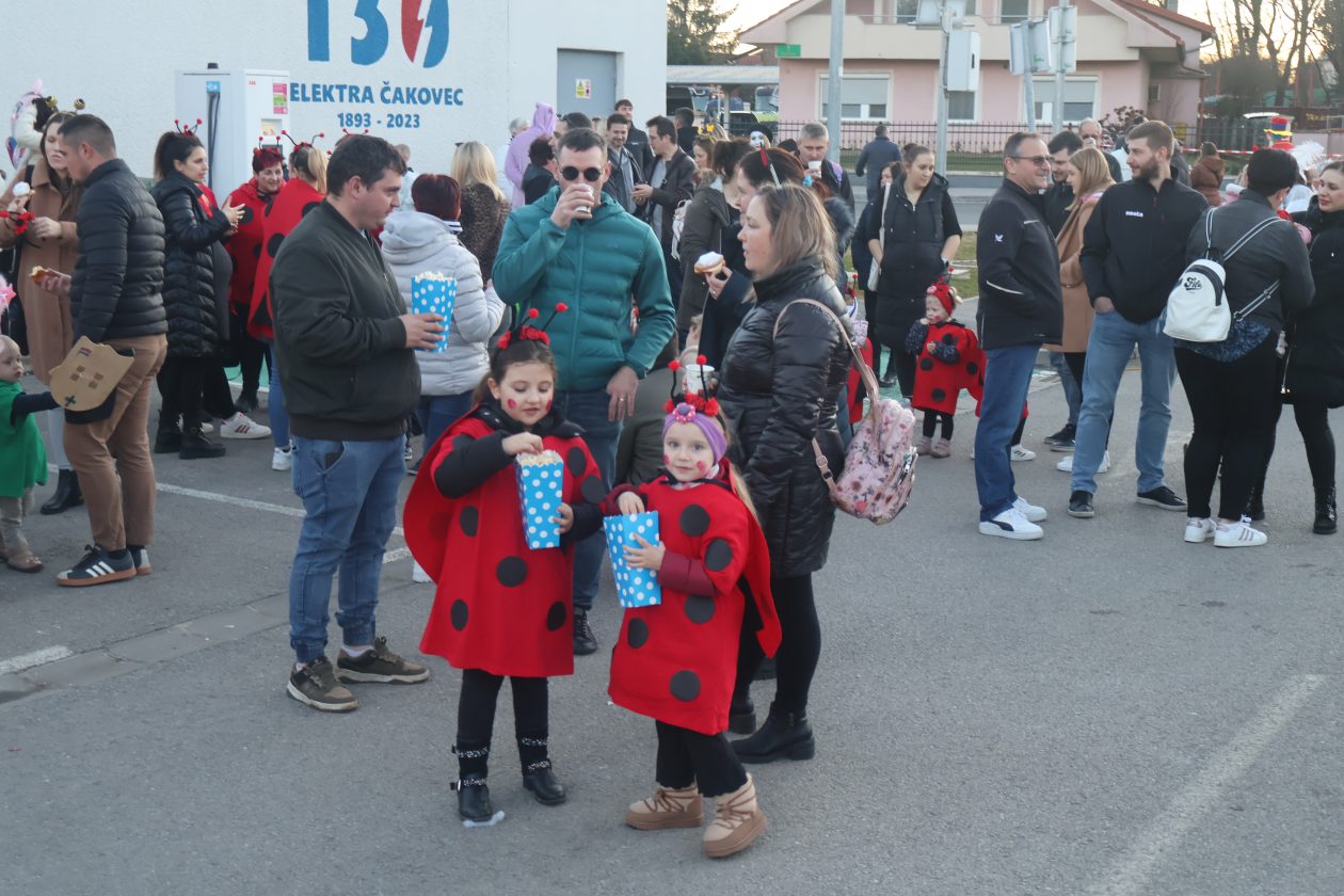 mali serjojnski fašnik (169) mali serjojnski fašnik (169)