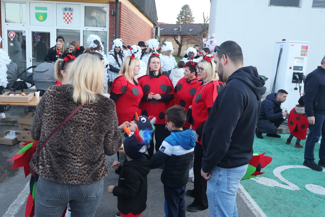 mali serjojnski fašnik (171) mali serjojnski fašnik (171)