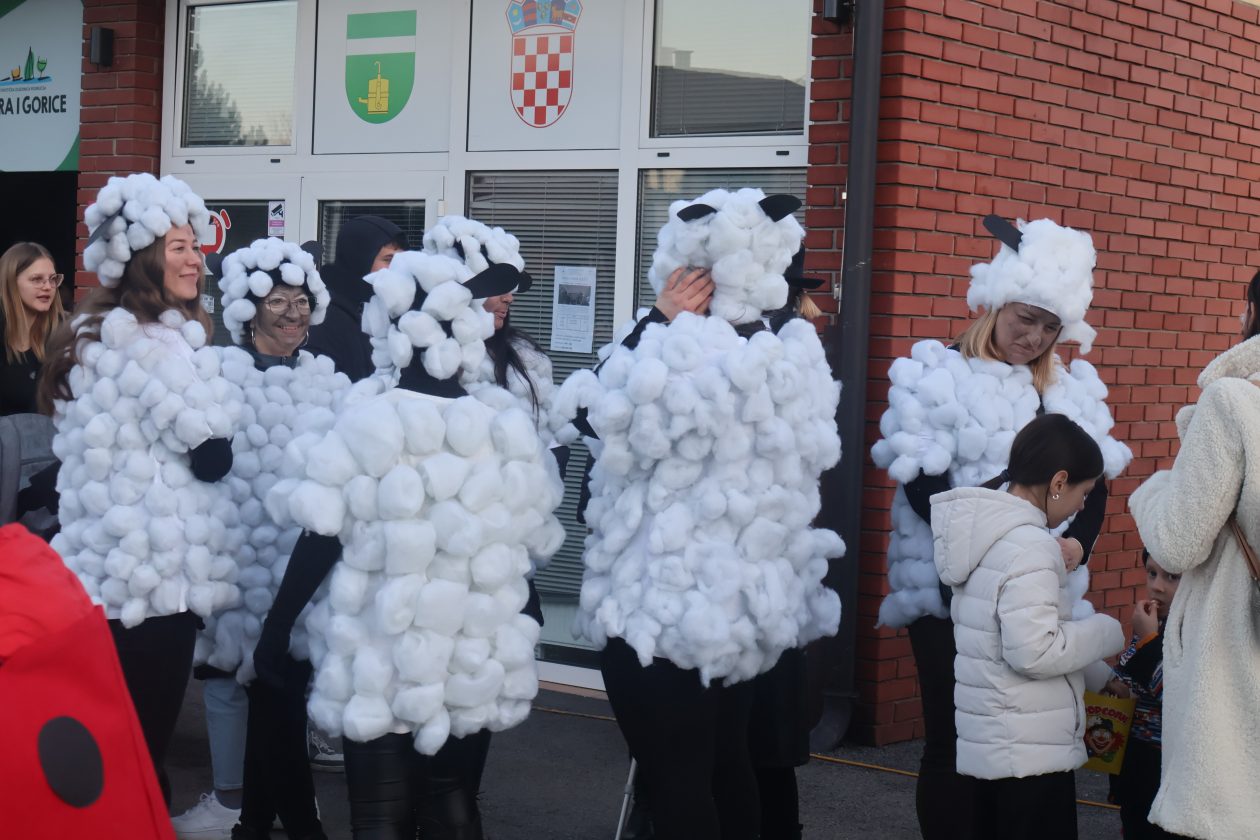 mali serjojnski fašnik (172) mali serjojnski fašnik (172)