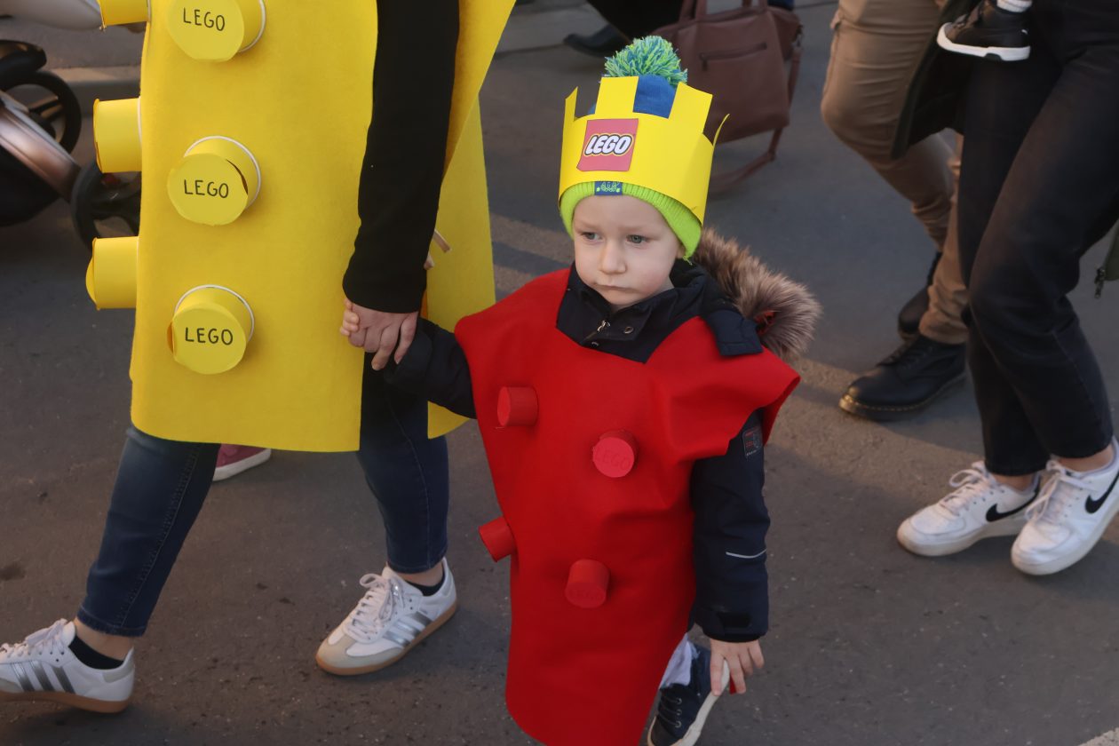 mali serjojnski fašnik (27) mali serjojnski fašnik (27)