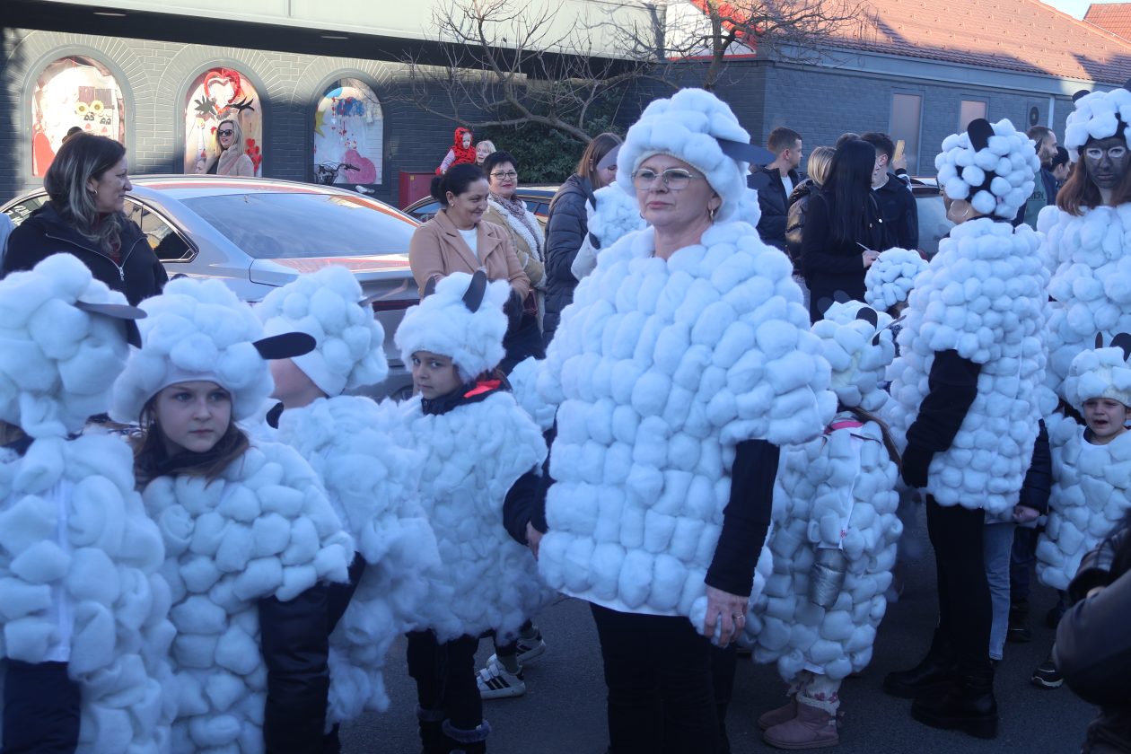 mali serjojnski fašnik (3) mali serjojnski fašnik (3)