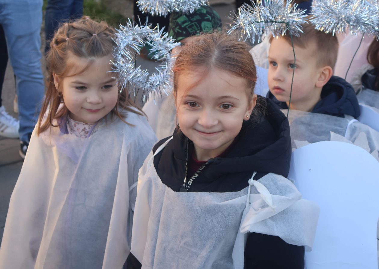 mali serjojnski fašnik (48) mali serjojnski fašnik (48)