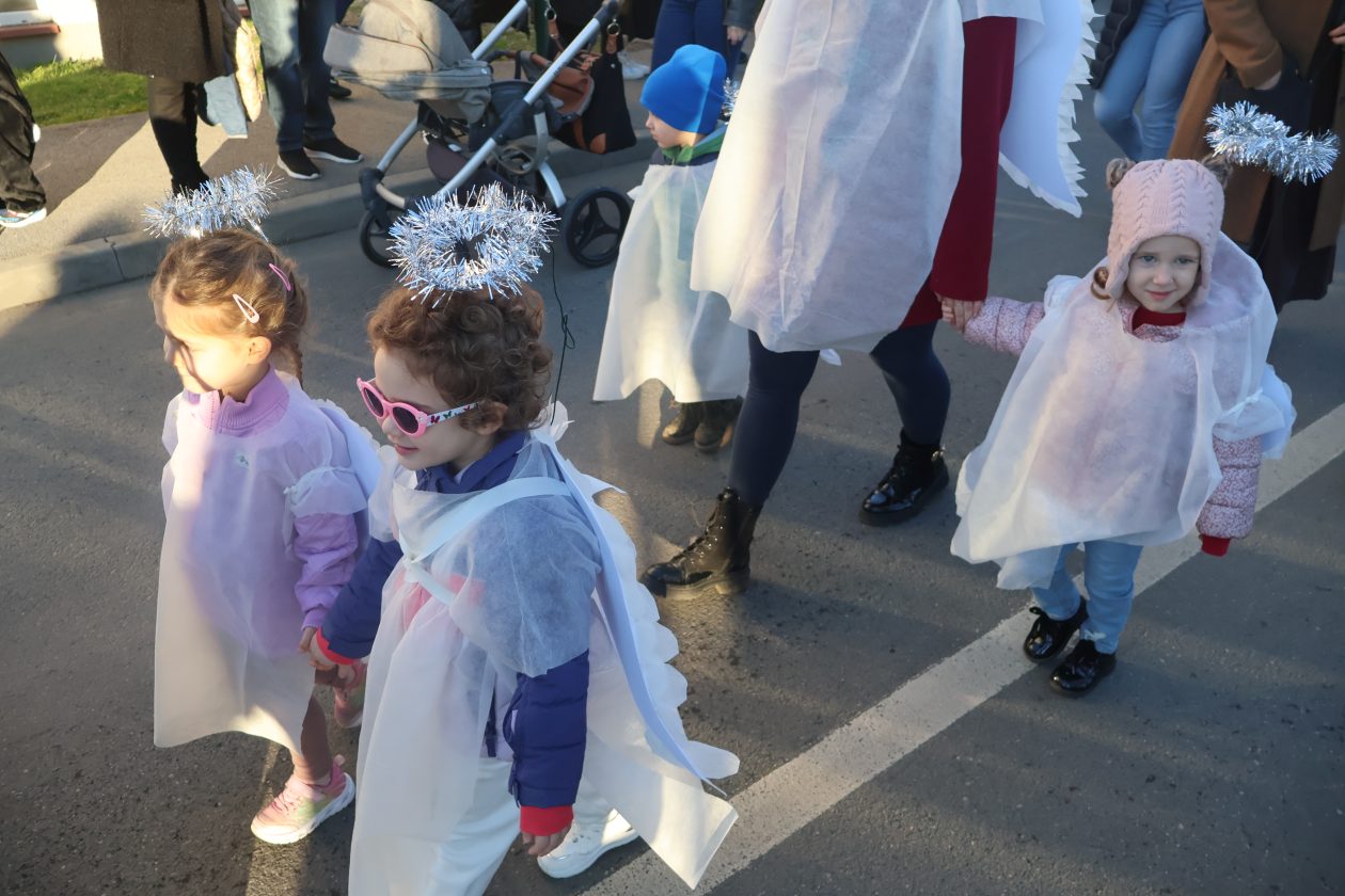 mali serjojnski fašnik (54) mali serjojnski fašnik (54)