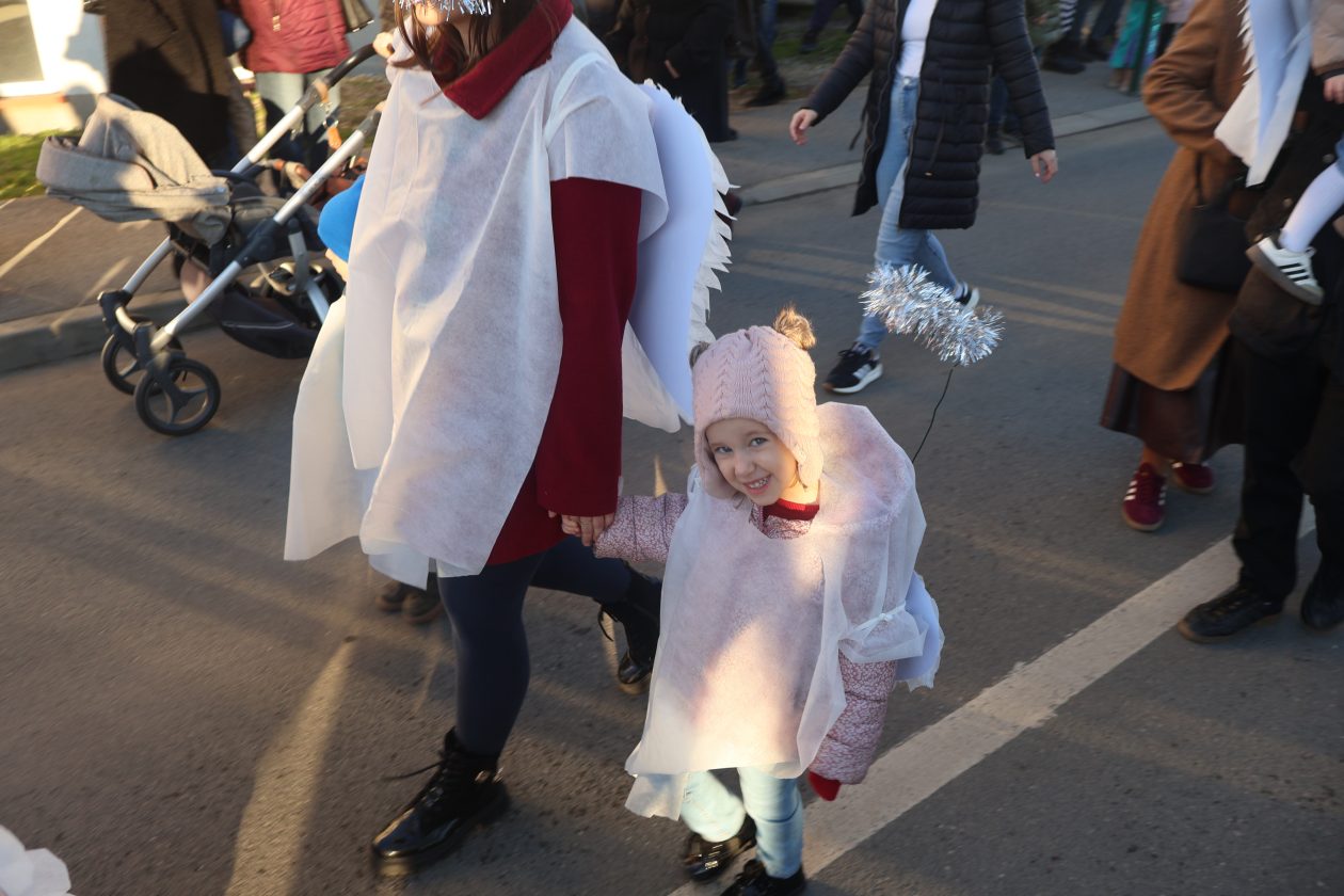 mali serjojnski fašnik (55) mali serjojnski fašnik (55)