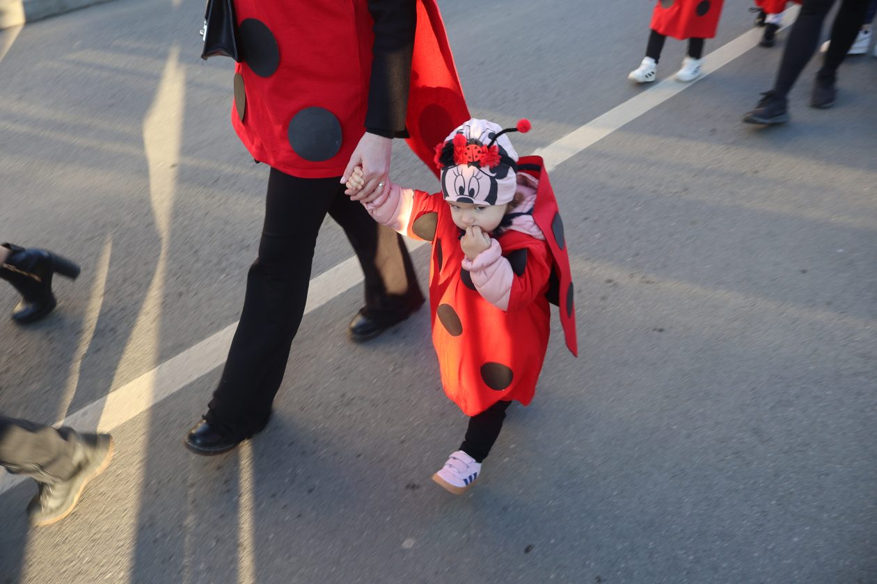 mali serjojnski fašnik (58) mali serjojnski fašnik (58)