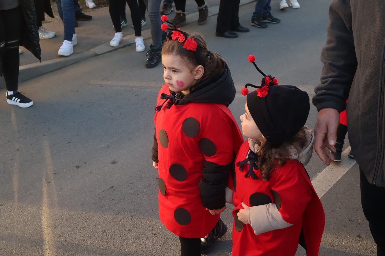 mali serjojnski fašnik (60) mali serjojnski fašnik (60)