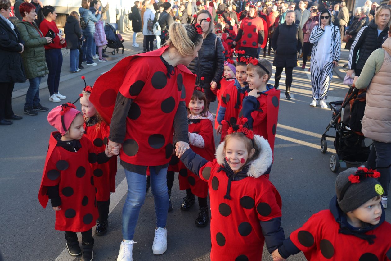 mali serjojnski fašnik (61) mali serjojnski fašnik (61)