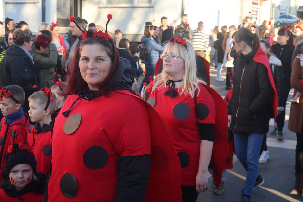 mali serjojnski fašnik (62) mali serjojnski fašnik (62)