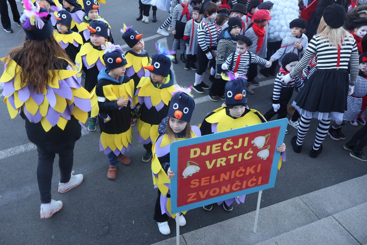 mali serjojnski fašnik (79) mali serjojnski fašnik (79)