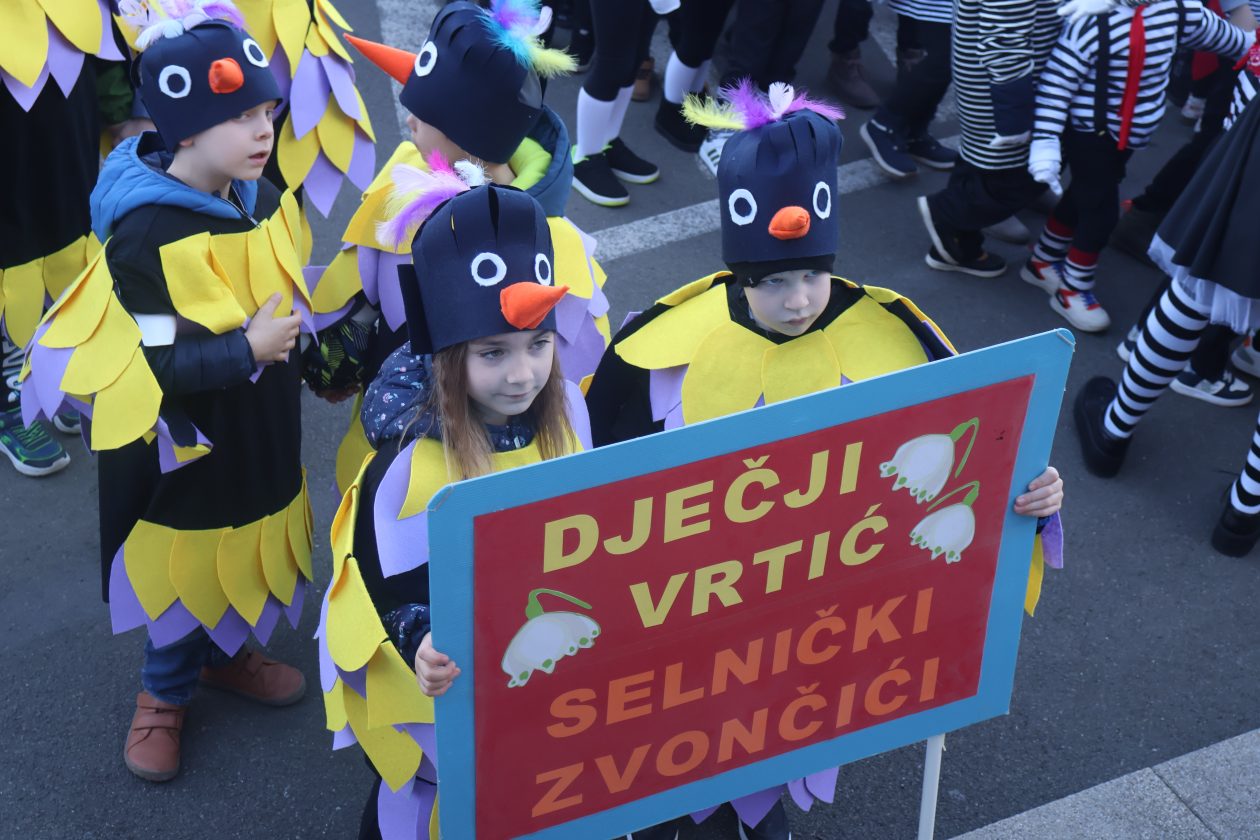 mali serjojnski fašnik (80) mali serjojnski fašnik (80)