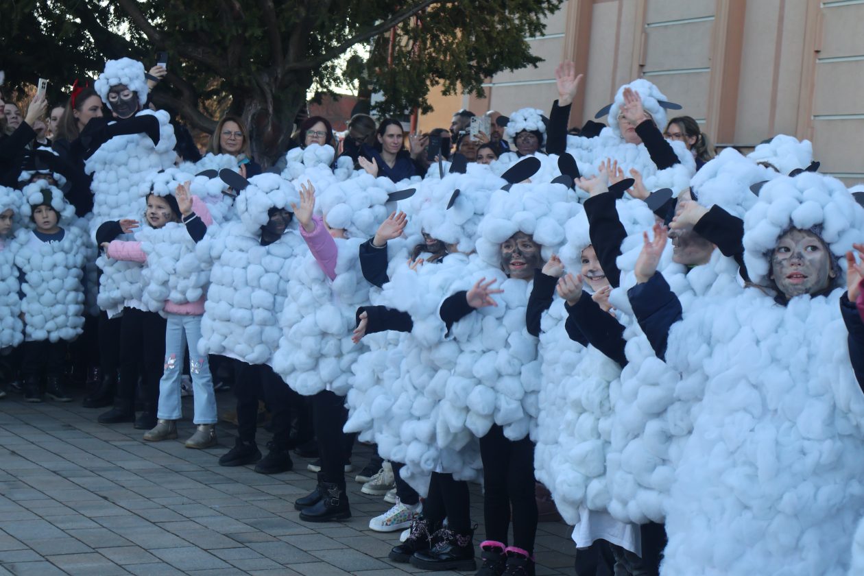 mali serjojnski fašnik (91) mali serjojnski fašnik (91)