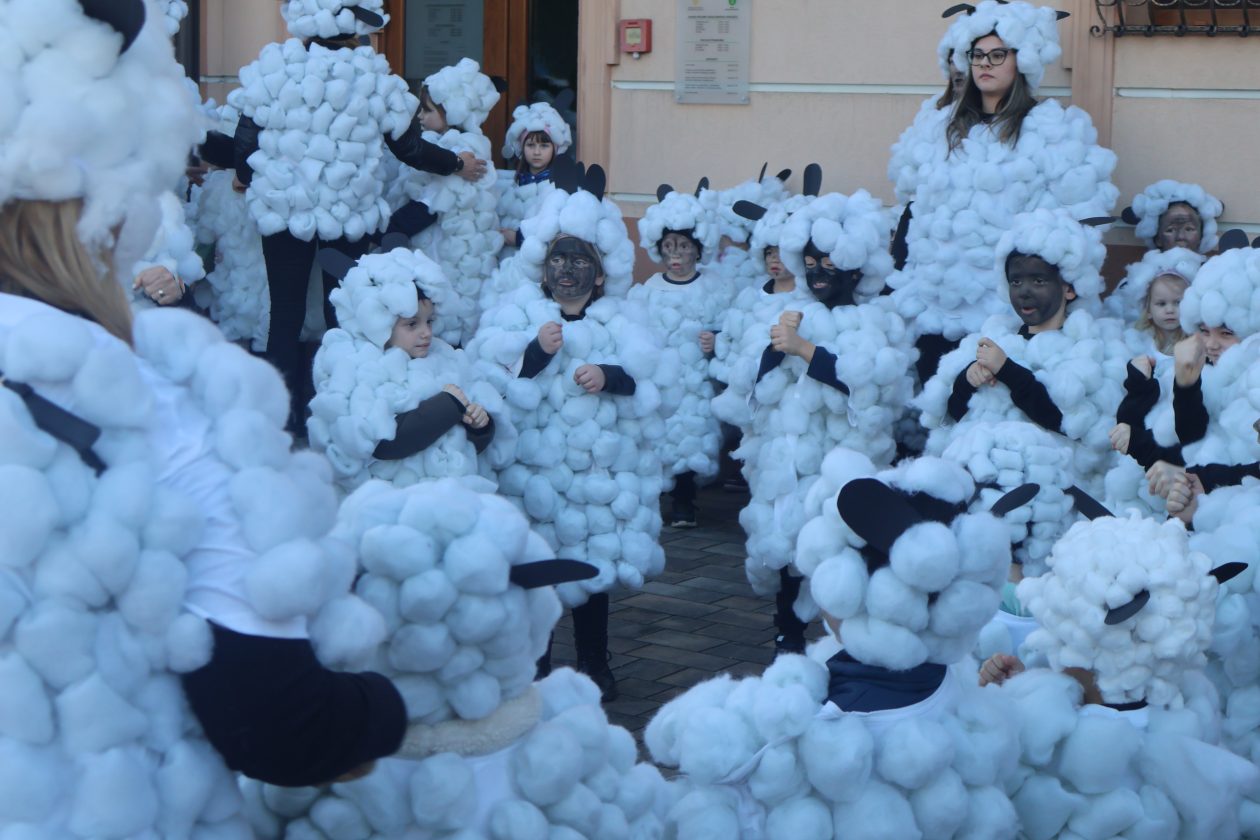 mali serjojnski fašnik (92) mali serjojnski fašnik (92)