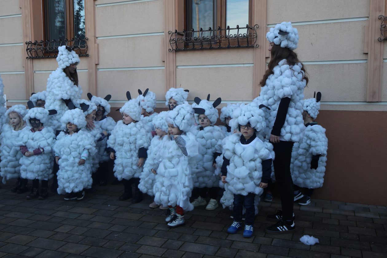 mali serjojnski fašnik (93) mali serjojnski fašnik (93)