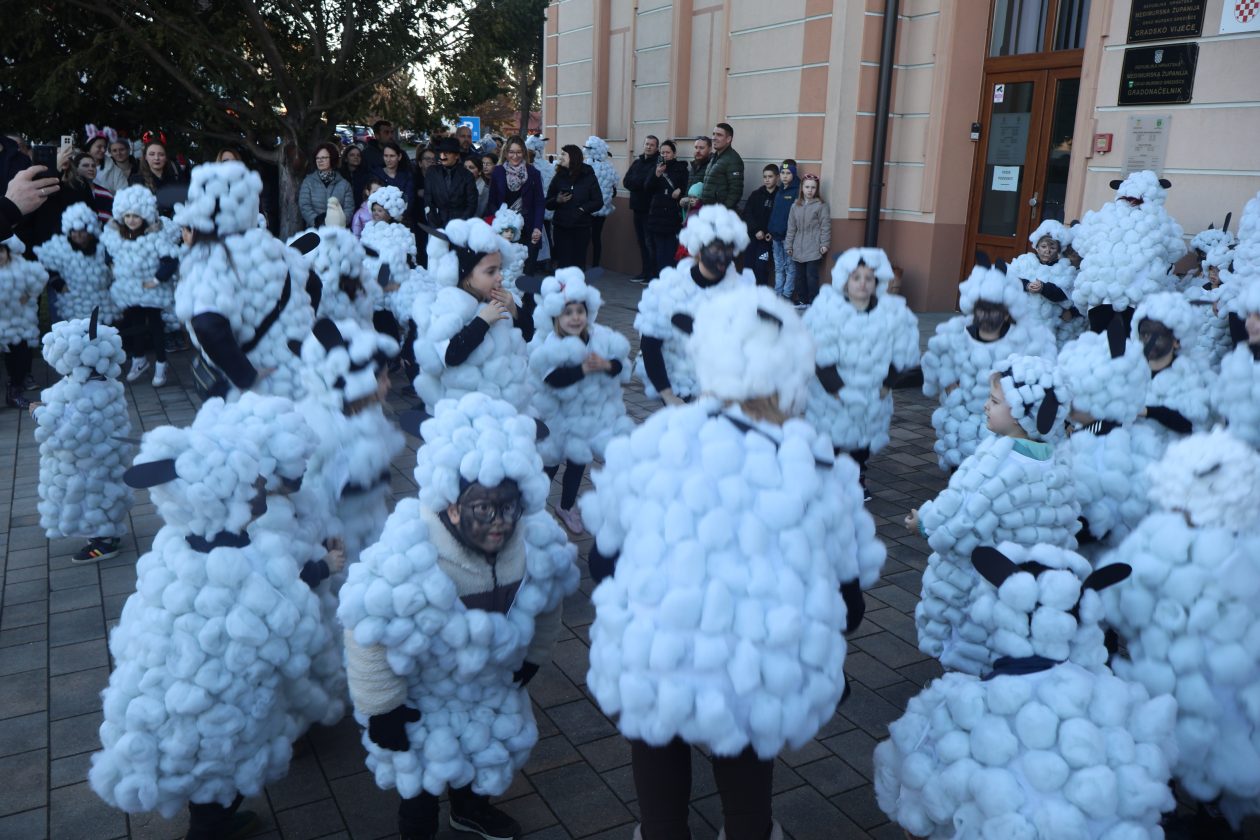 mali serjojnski fašnik (94) mali serjojnski fašnik (94)