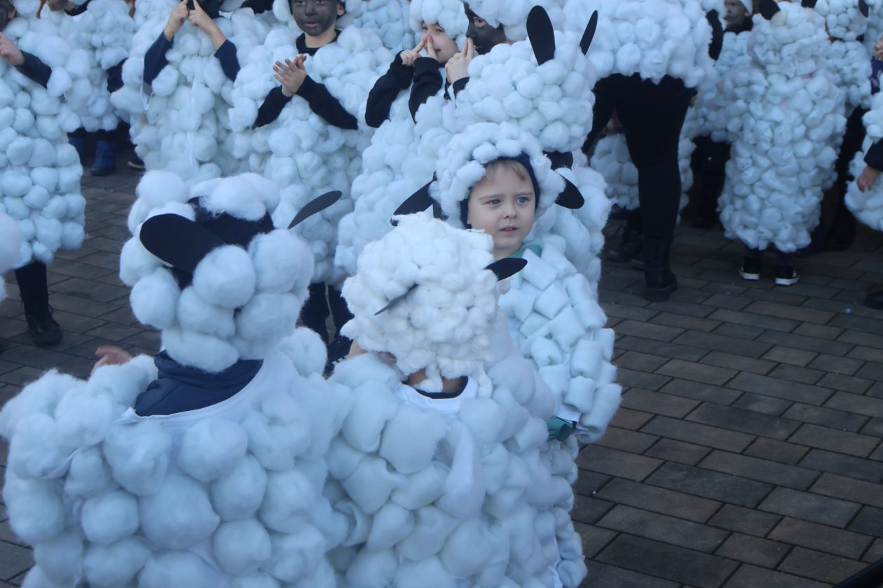 mali serjojnski fašnik (95) mali serjojnski fašnik (95)