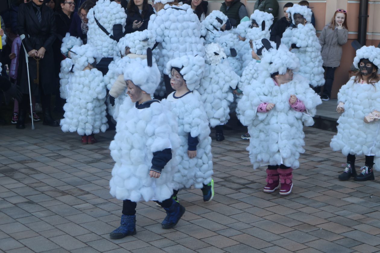 mali serjojnski fašnik (96) mali serjojnski fašnik (96)