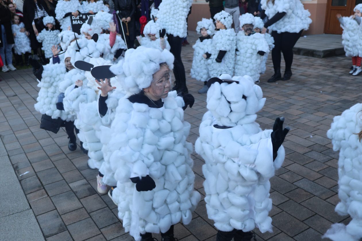 mali serjojnski fašnik (99) mali serjojnski fašnik (99)