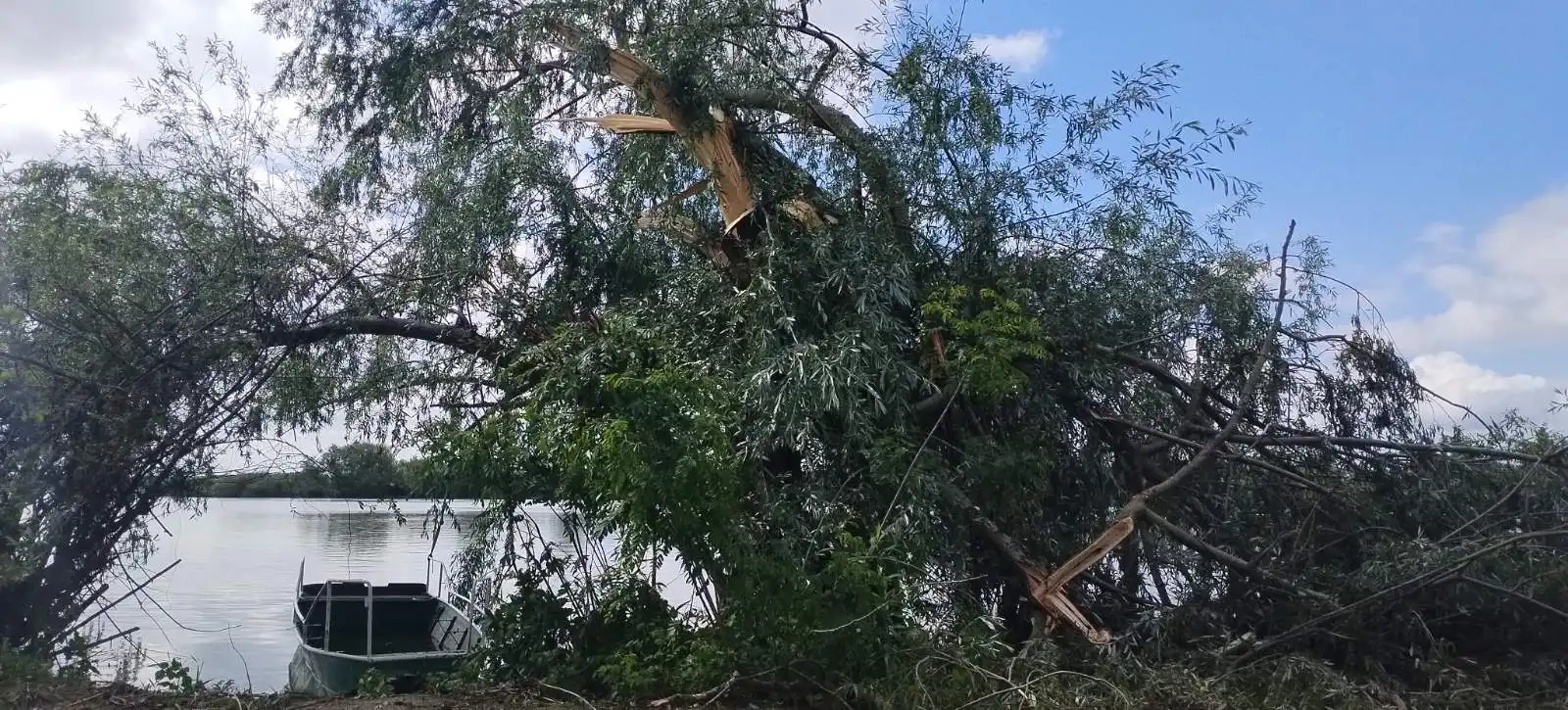 marina, prelog,22.5.2024 (10) marina, prelog,22.5.2024 (10)