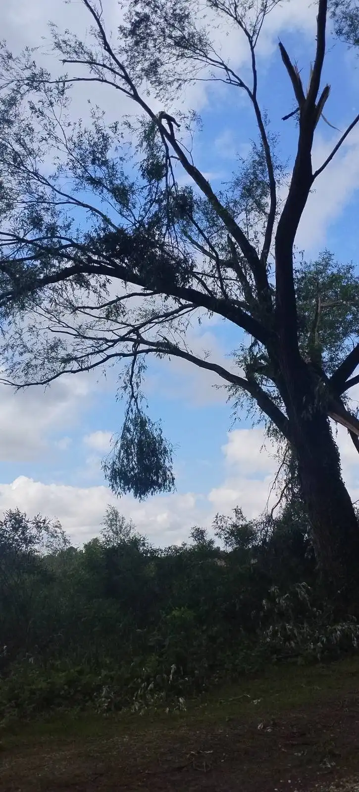 marina, prelog,22.5.2024 (11) marina, prelog,22.5.2024 (11)