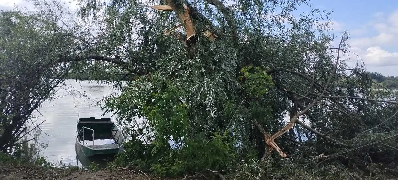 marina, prelog,22.5.2024 (12) marina, prelog,22.5.2024 (12)