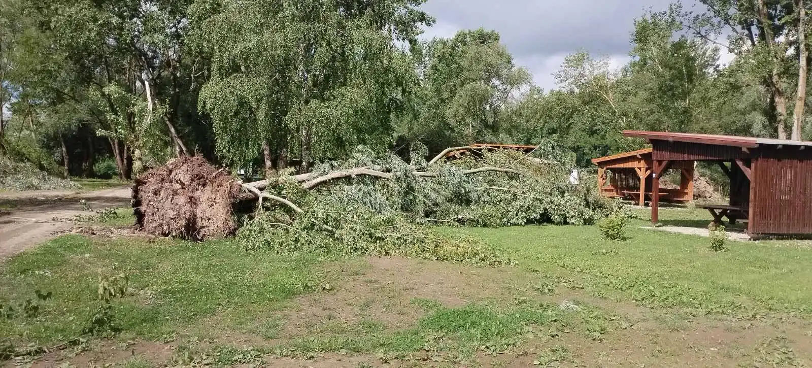 marina, prelog,22.5.2024 (15) marina, prelog,22.5.2024 (15)