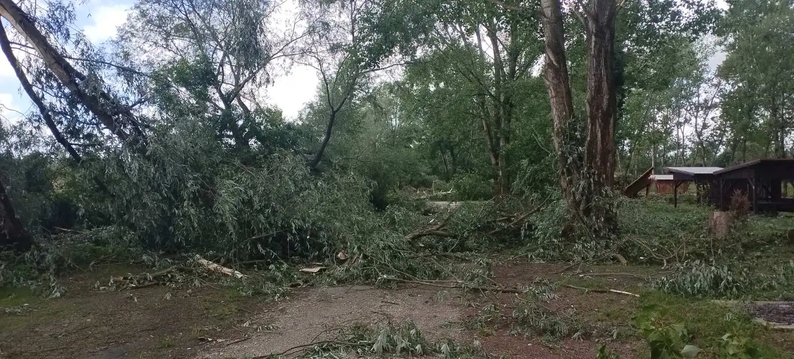 marina, prelog,22.5.2024 (16) marina, prelog,22.5.2024 (16)