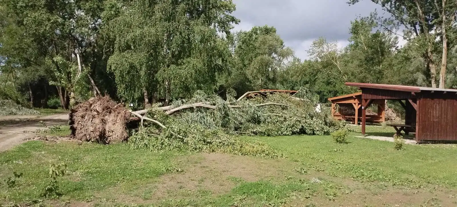 marina, prelog,22.5.2024 (19) marina, prelog,22.5.2024 (19)