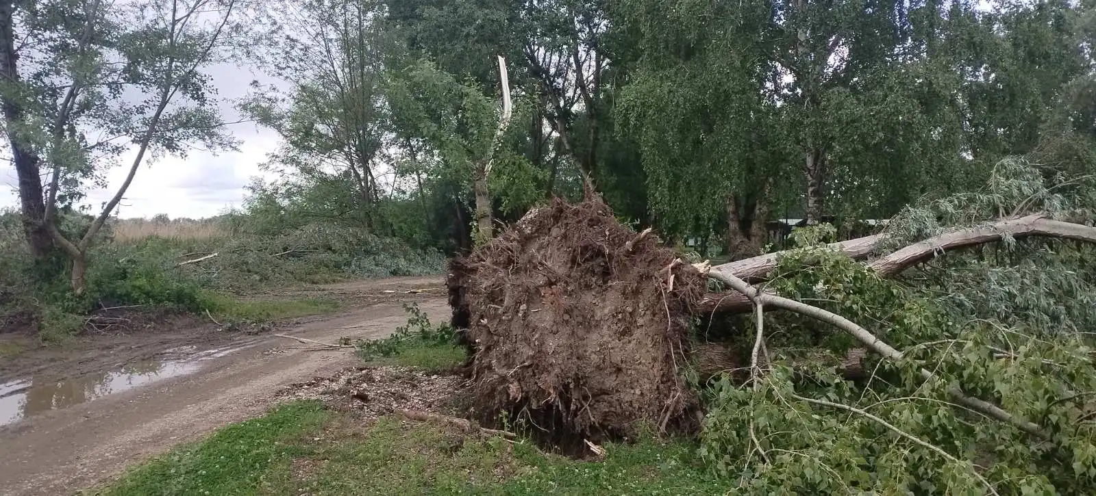 marina, prelog,22.5.2024 (2) marina, prelog,22.5.2024 (2)