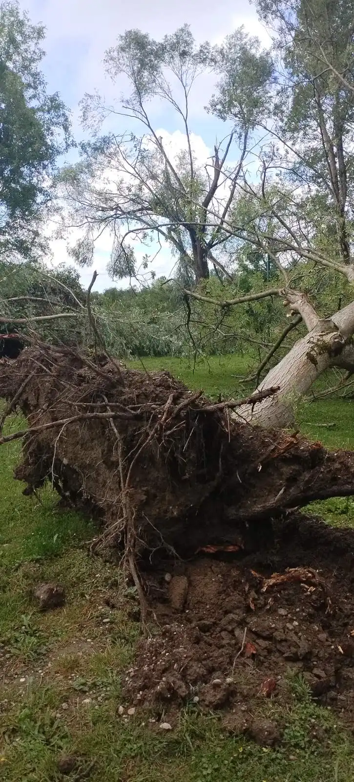 marina, prelog,22.5.2024 (3) marina, prelog,22.5.2024 (3)