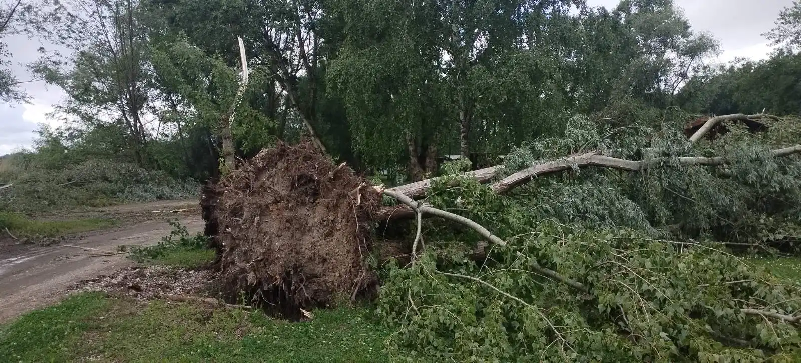 marina, prelog,22.5.2024 (4) marina, prelog,22.5.2024 (4)