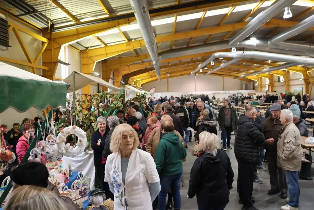 martinje nedelišće 2024 (23) martinje nedelišće 2024 (23)