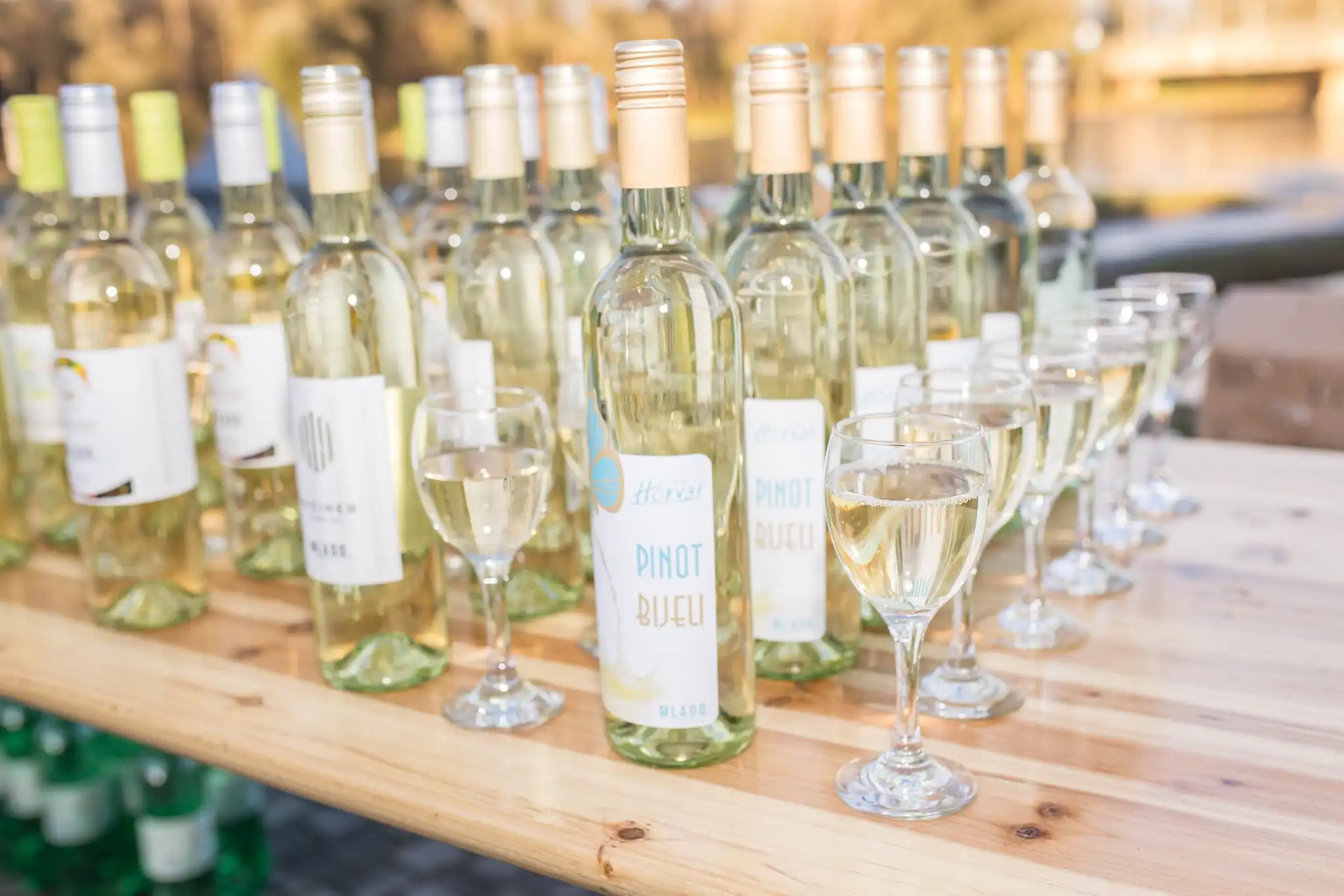 martinje u murskom središću (5) martinje u murskom središću (5)