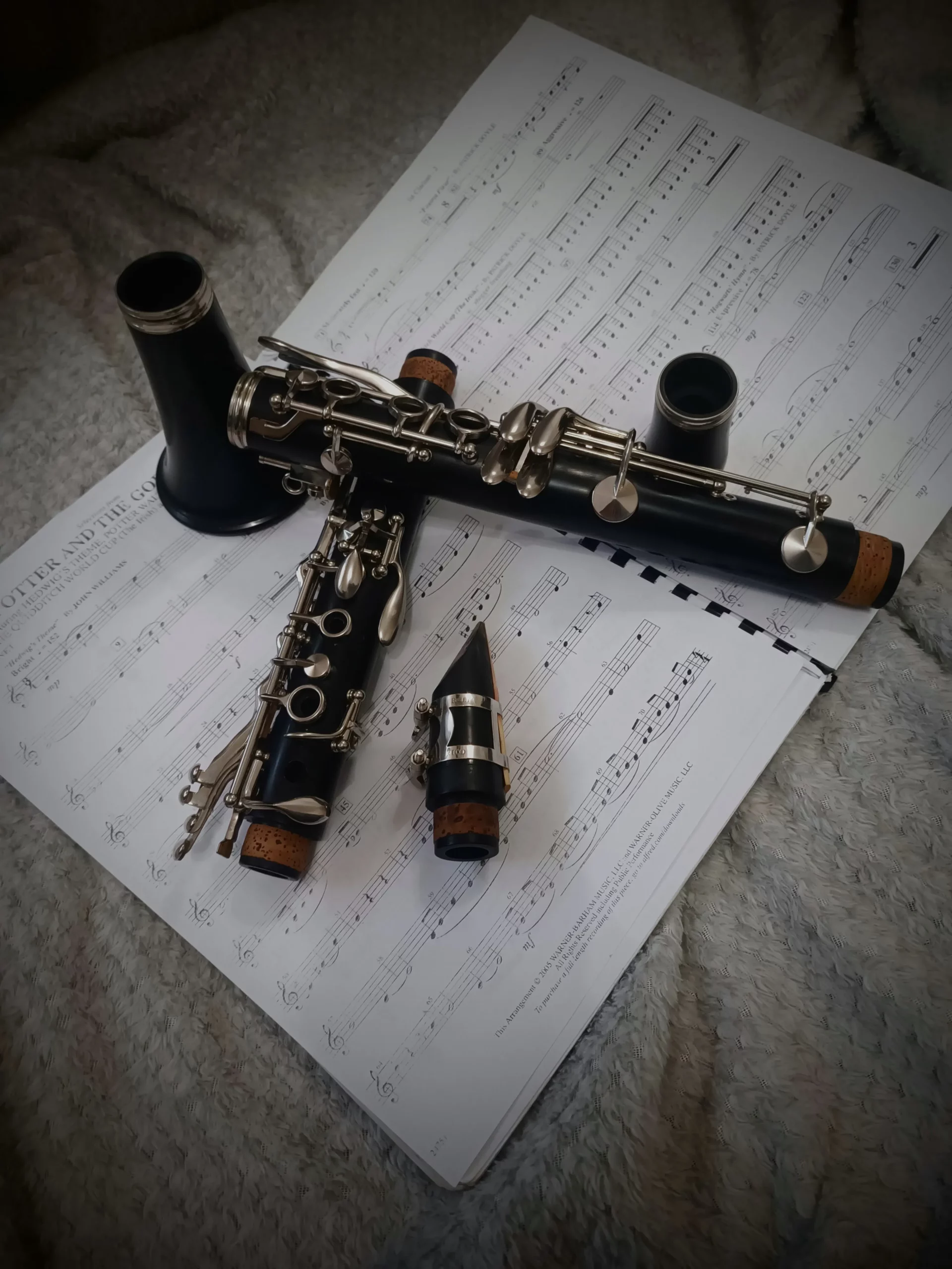 mateja škvorc limena glazba belica (2) mateja škvorc limena glazba belica (2)