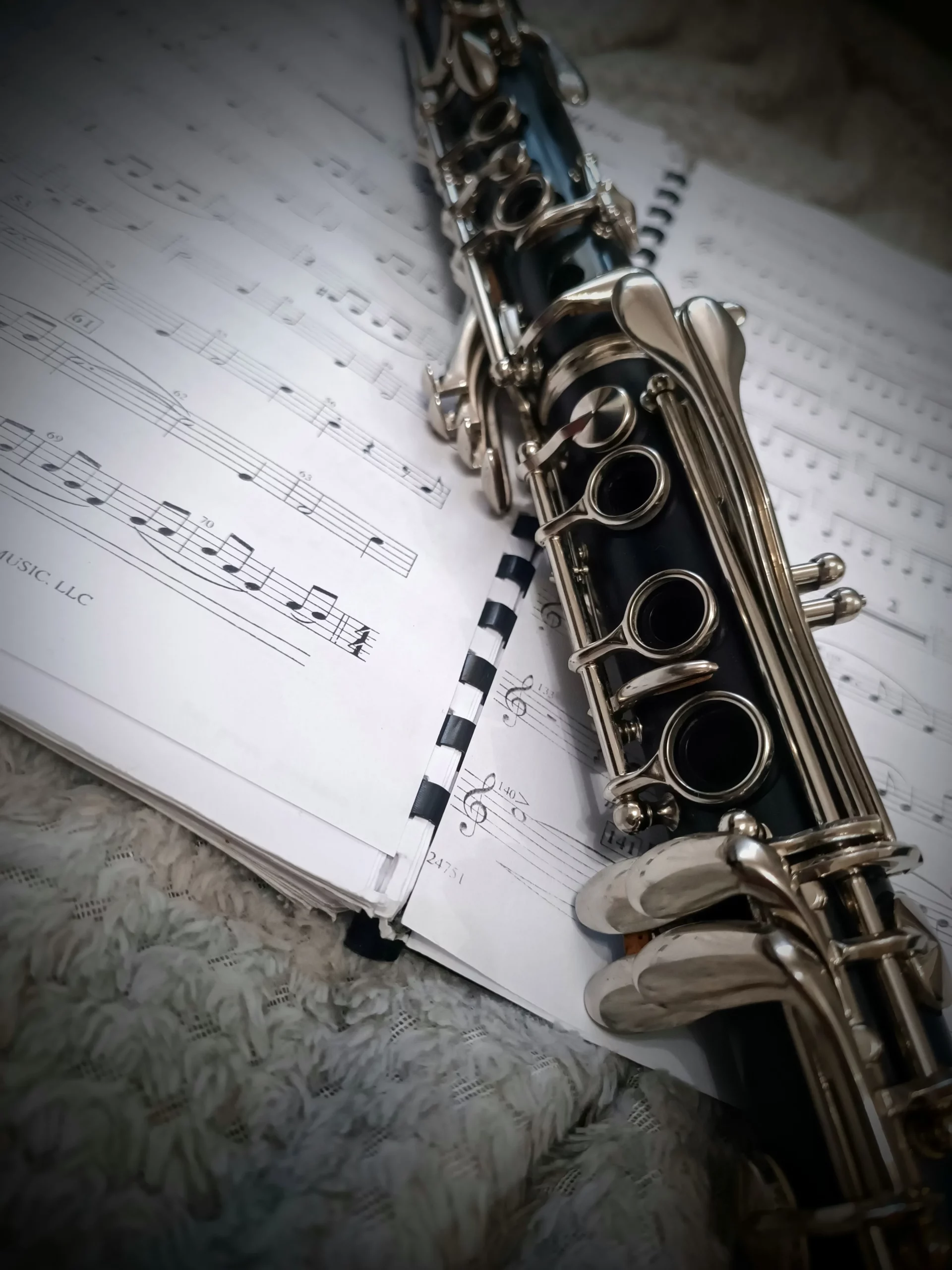 mateja škvorc limena glazba belica (3) mateja škvorc limena glazba belica (3)