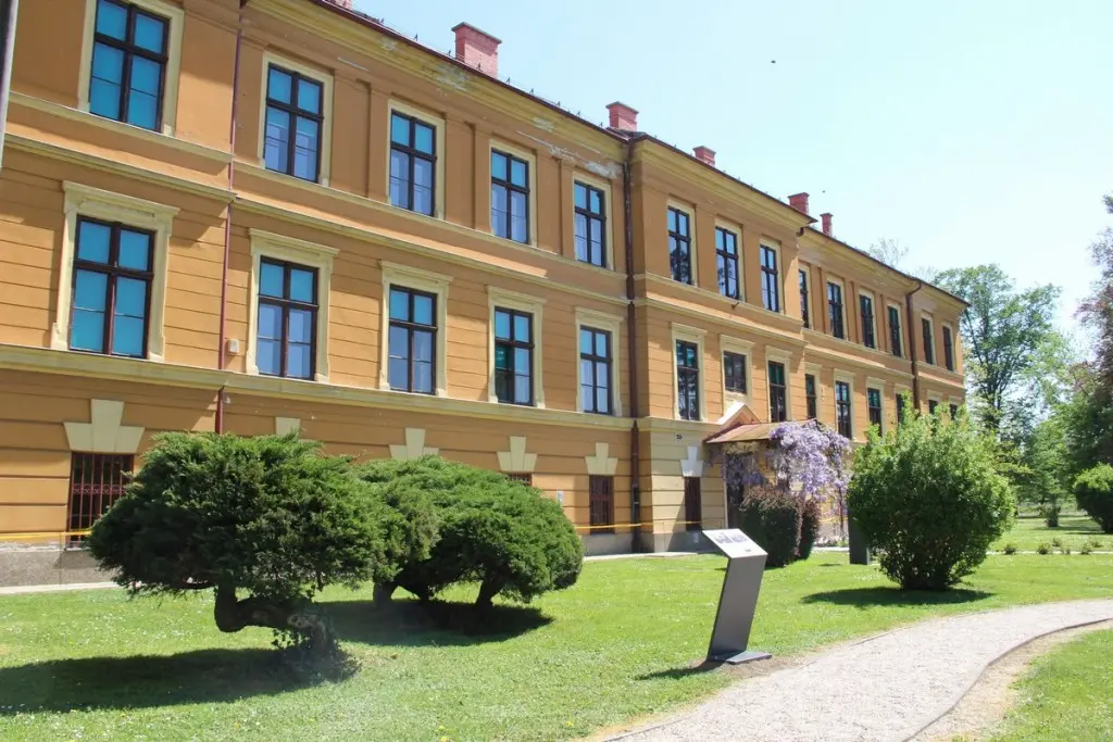 učiteljski fakultet (3) učiteljski fakultet (3)