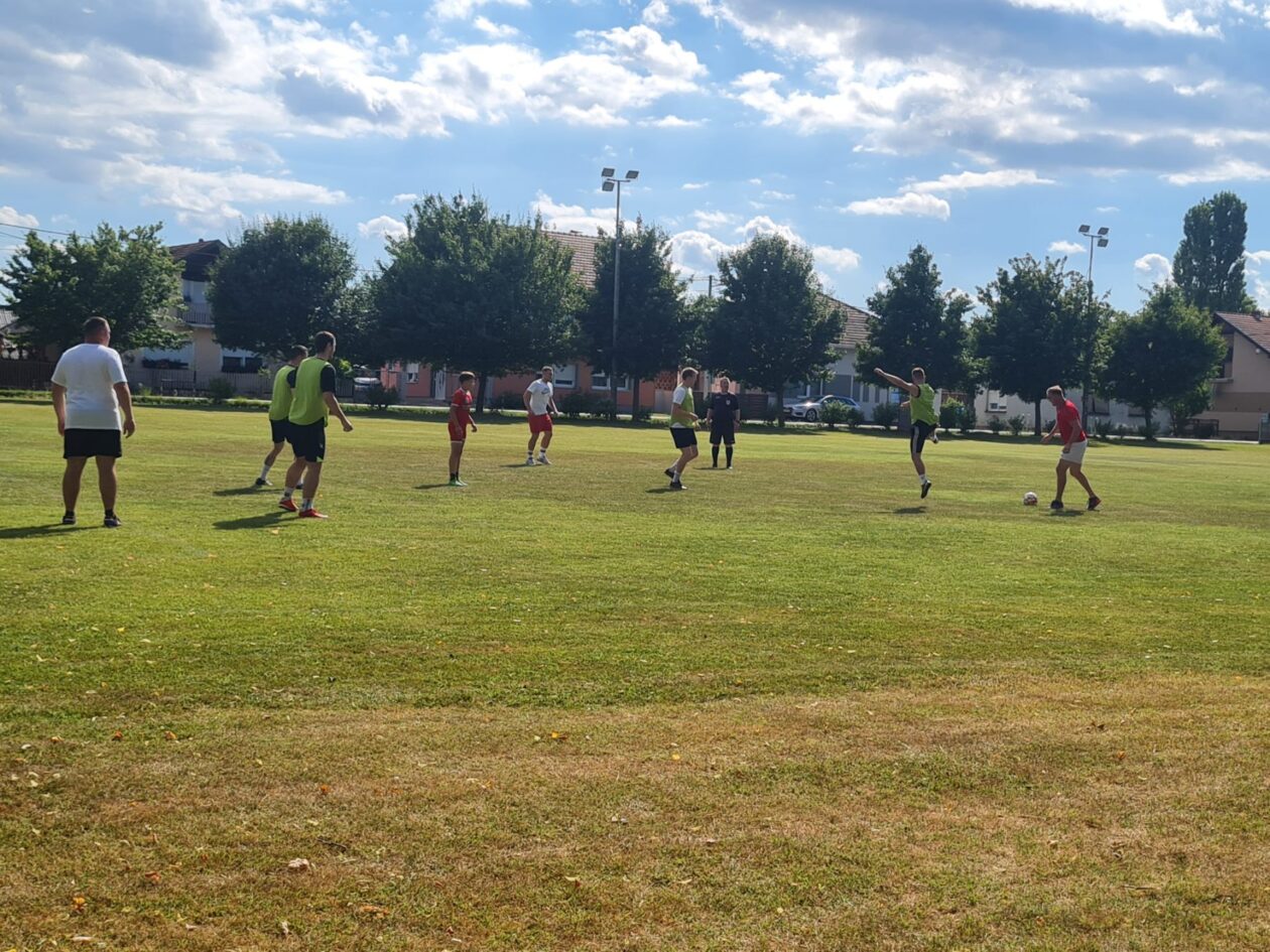 med vulicaj med vulicaj