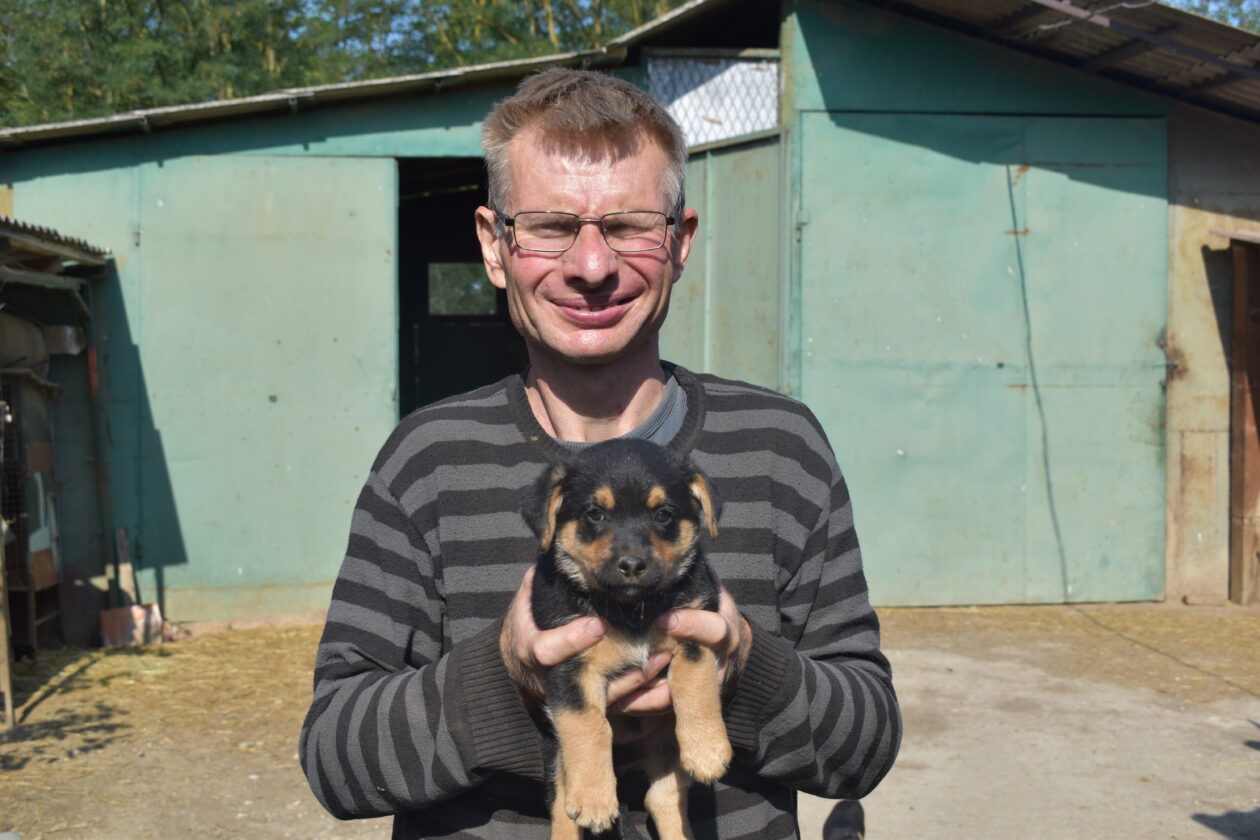 međi, Denis Dobša (1)