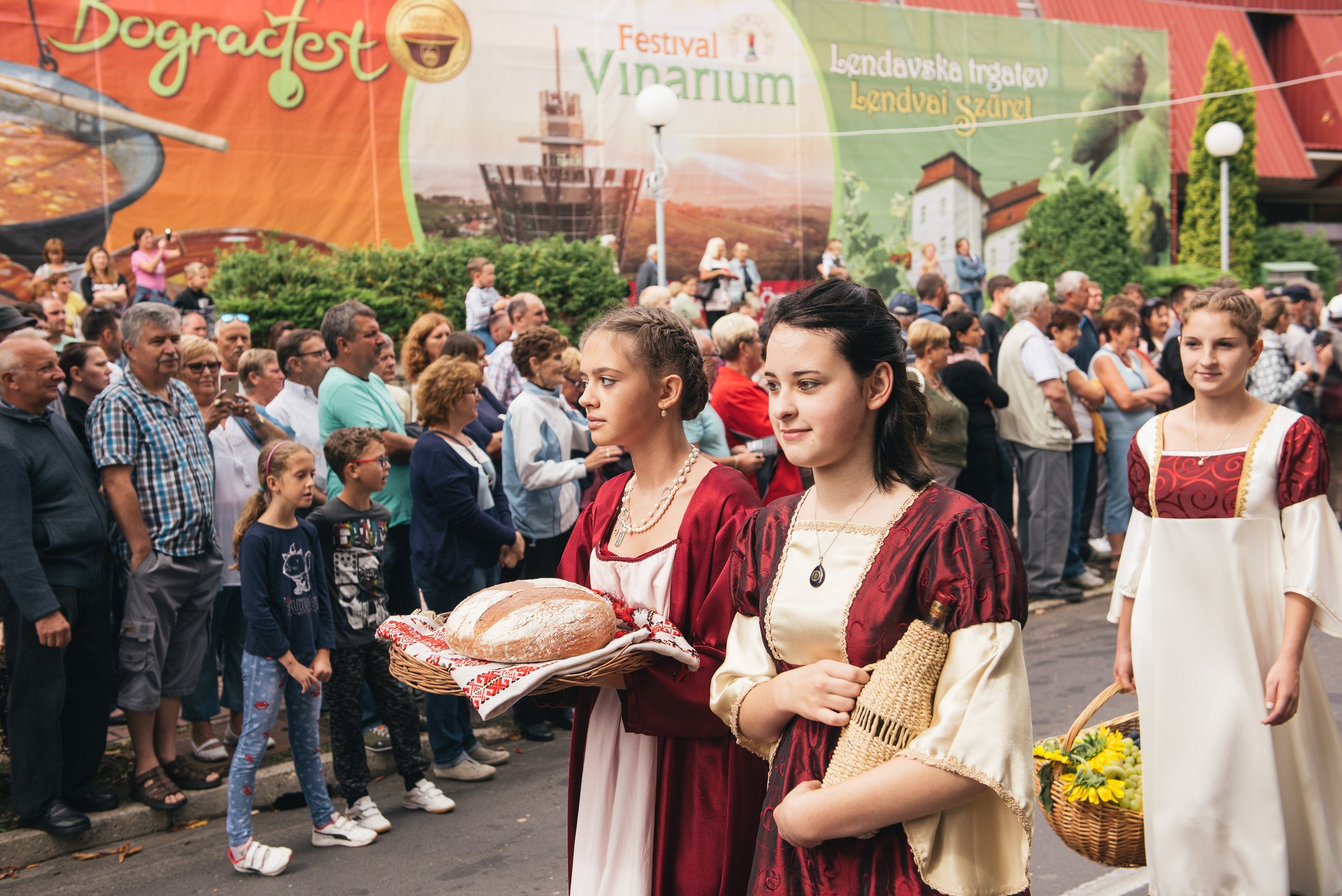 mediaspeed_lendavskatrgaetv2 mediaspeed_lendavskatrgaetv2