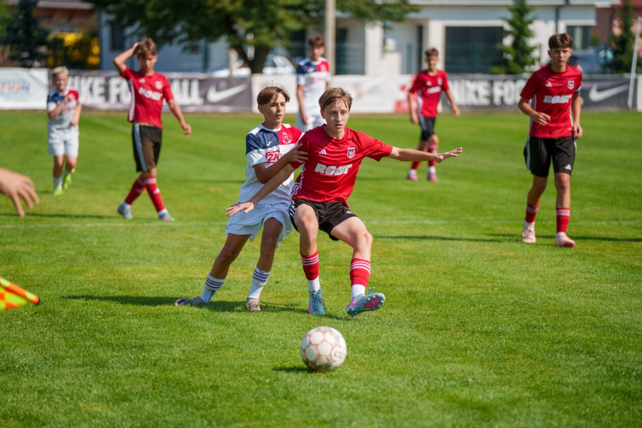 međimurec8