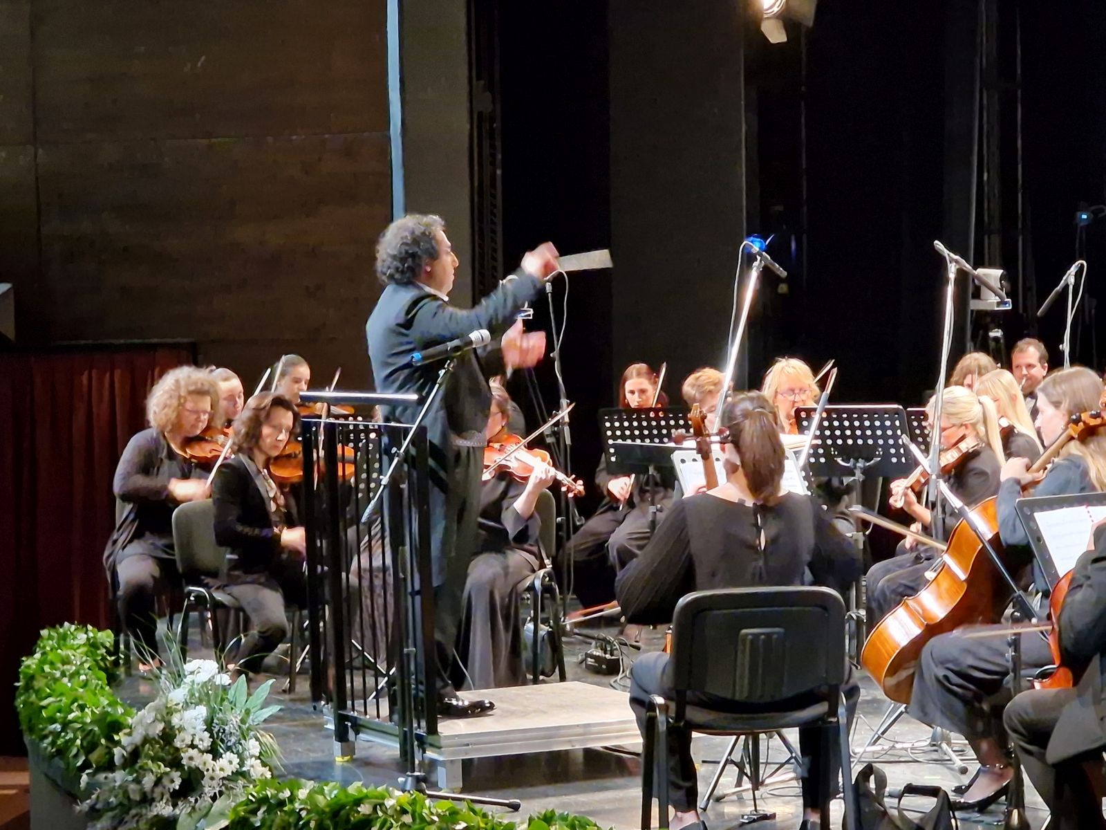 međimurska filharmonija