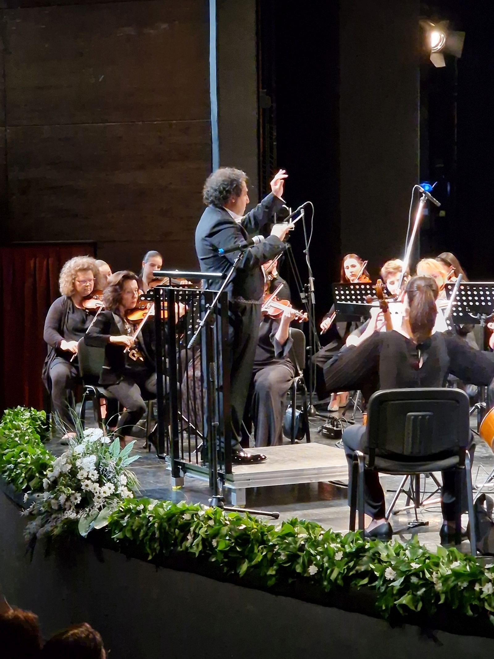 međimurska filharmonija