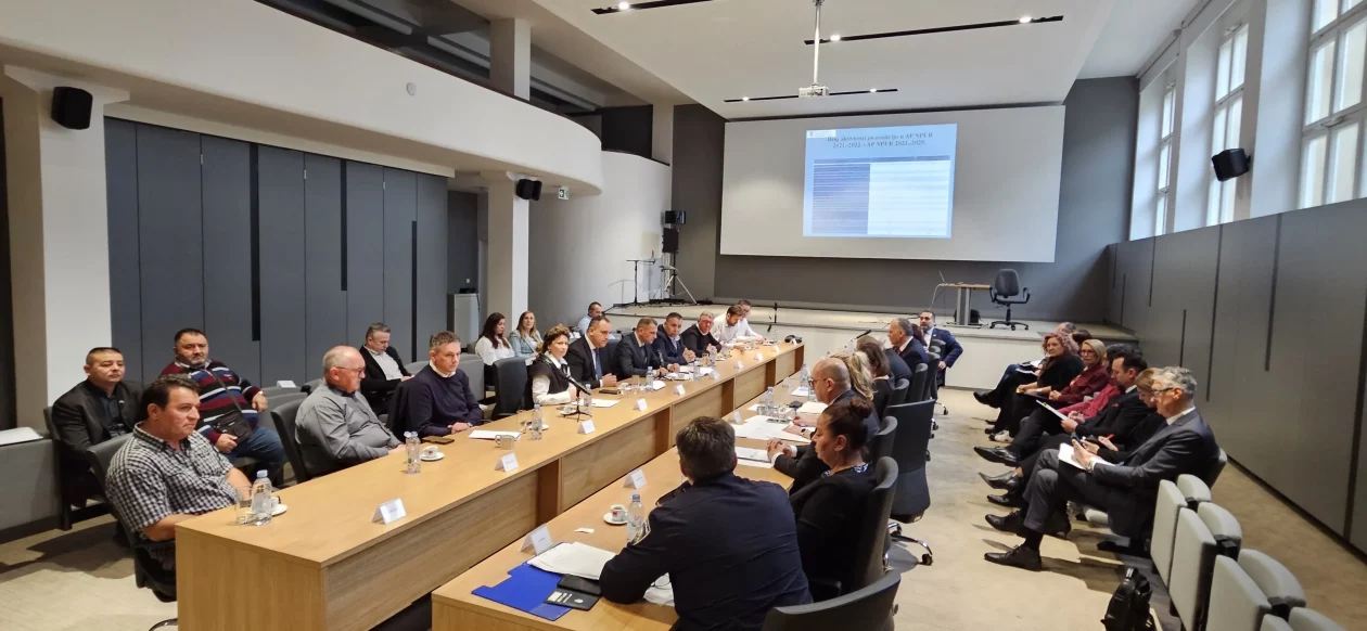 međimurska županija romi sitnice Božinović (6)